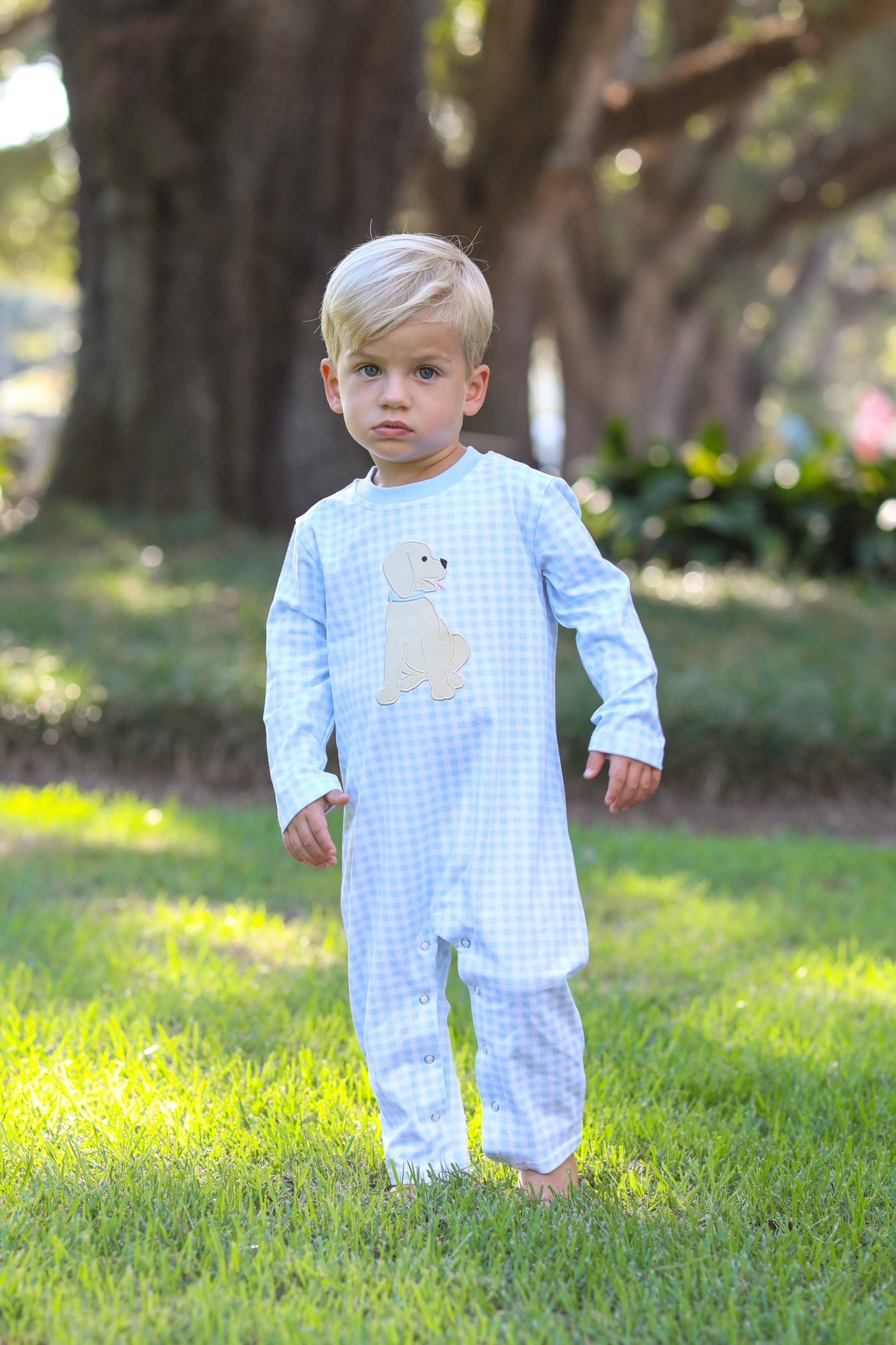 Blue Gingham Puppy Romper