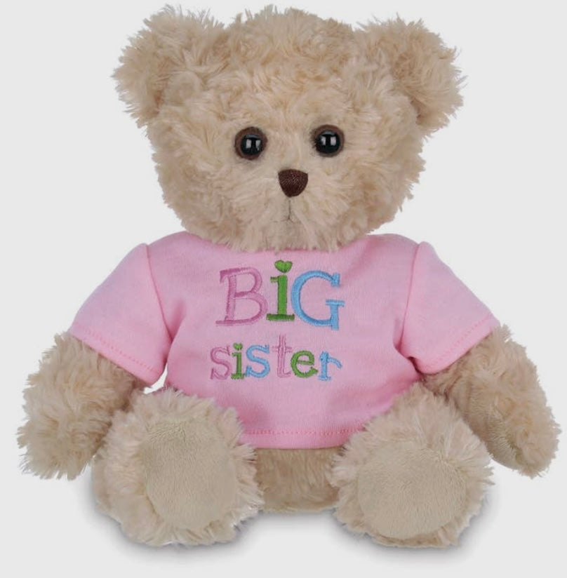I’m a Big Sister Bear